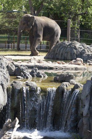Denver zoologiske hage