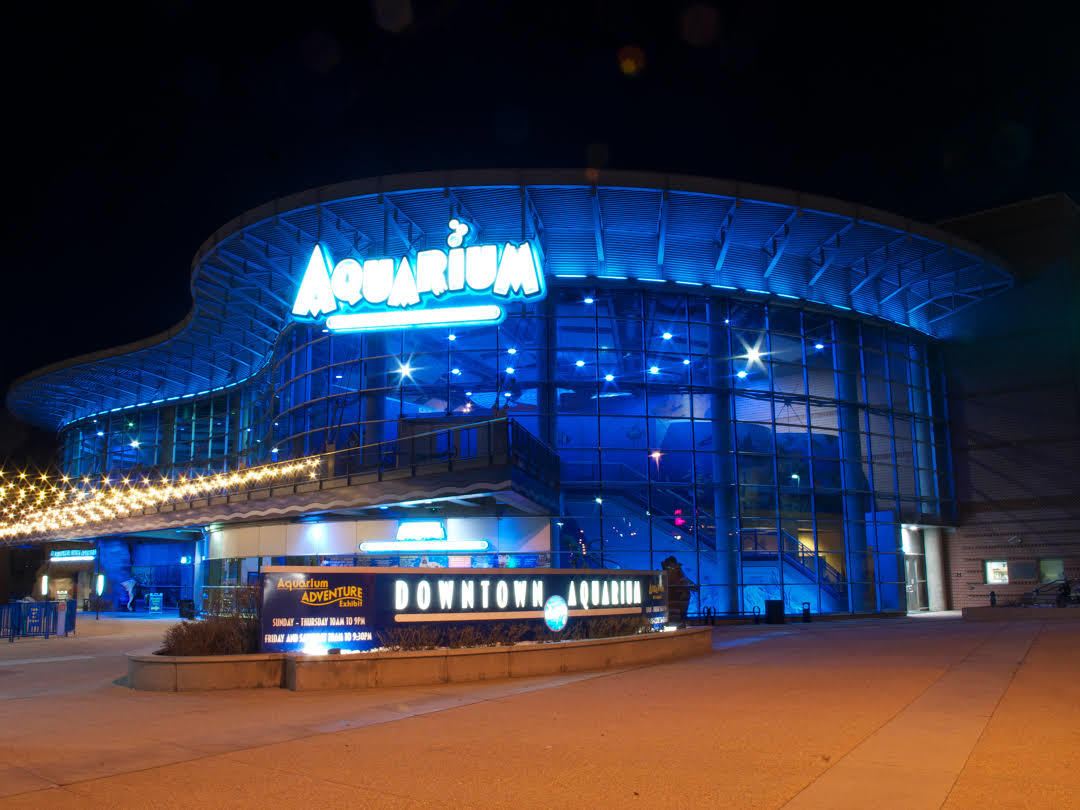 Acuario del Downtown